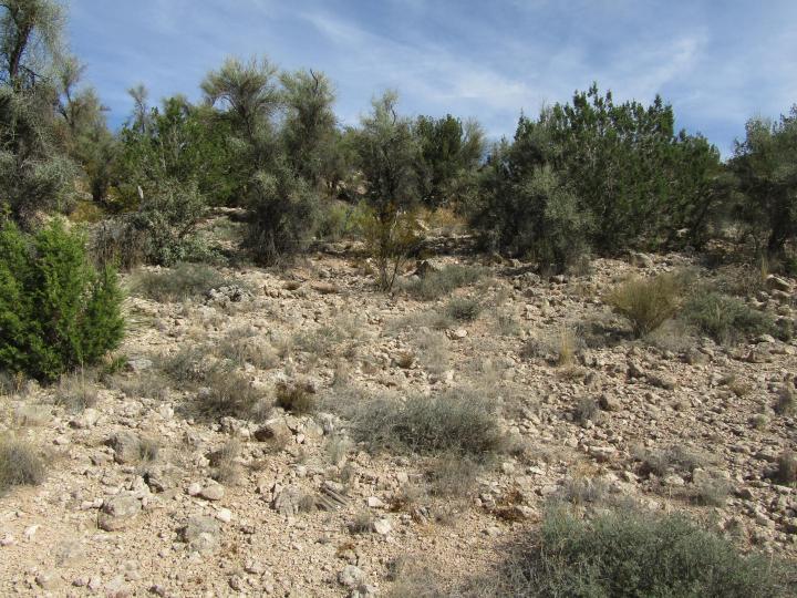 Desert Willow, Rimrock, AZ | 5 Acres Or More. Photo 19 of 34