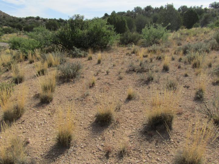 Desert Willow, Rimrock, AZ | 5 Acres Or More. Photo 24 of 34