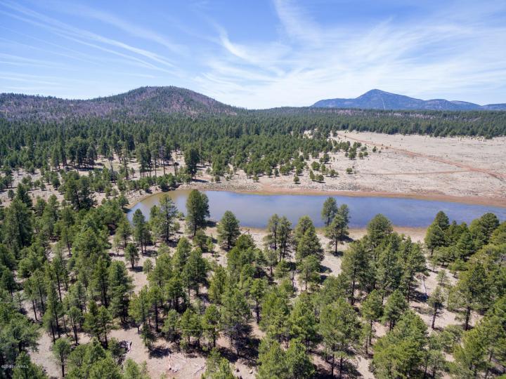 Forest Service  Rd 140, Williams, AZ | 5 Acres Or More. Photo 11 of 32