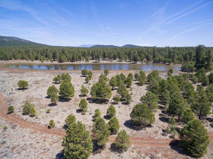 Forest Service  Rd 140, Williams, AZ | 5 Acres Or More. Photo 12 of 32