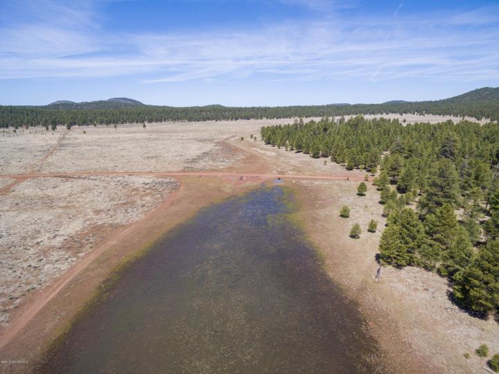 Forest Service  Rd 140, Williams, AZ | 5 Acres Or More. Photo 14 of 32