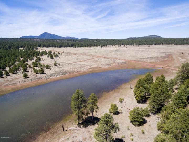 Forest Service  Rd 140, Williams, AZ | 5 Acres Or More. Photo 15 of 32