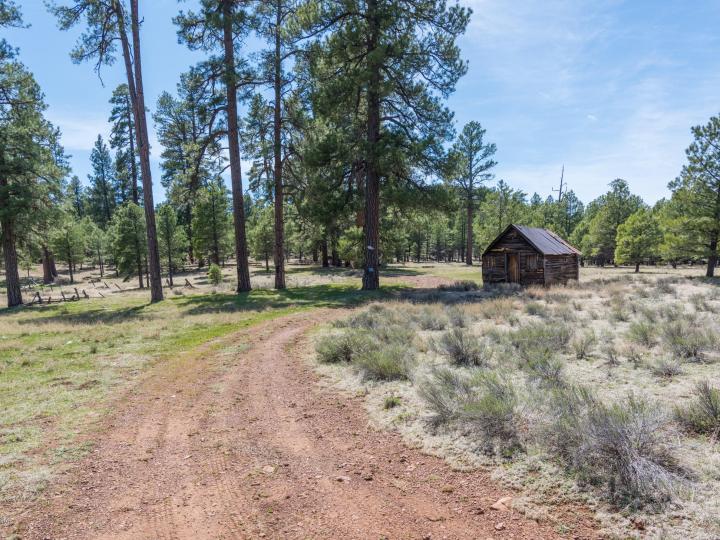 Forest Service  Rd 140, Williams, AZ | 5 Acres Or More. Photo 21 of 32