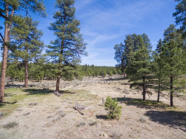 Forest Service  Rd 140, Williams, AZ | 5 Acres Or More. Photo 25 of 32