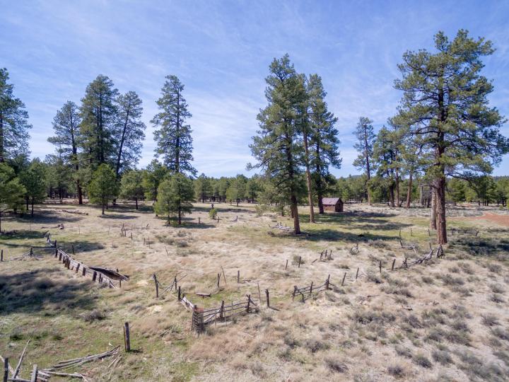 Forest Service  Rd 140, Williams, AZ | 5 Acres Or More. Photo 26 of 32