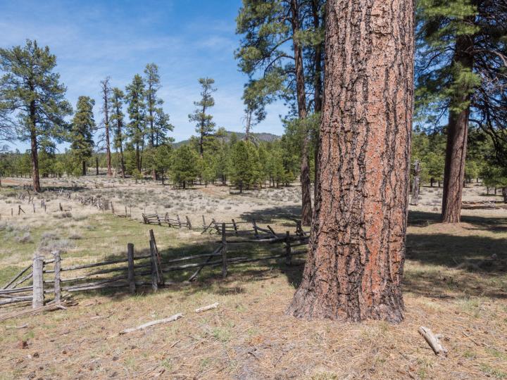 Forest Service  Rd 140, Williams, AZ | 5 Acres Or More. Photo 27 of 32
