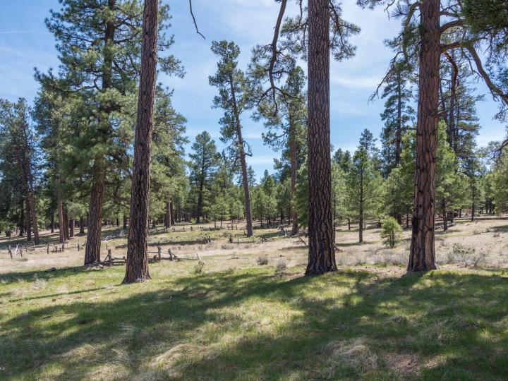 Forest Service  Rd 140, Williams, AZ | 5 Acres Or More. Photo 28 of 32
