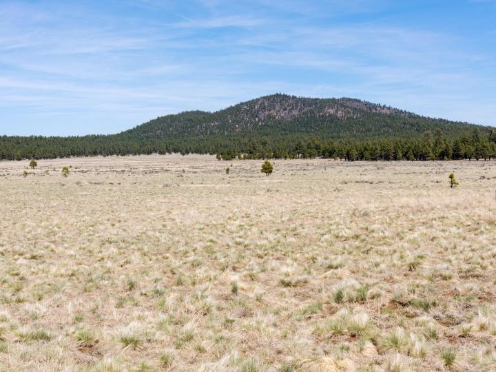Forest Service  Rd 140, Williams, AZ | 5 Acres Or More. Photo 4 of 32