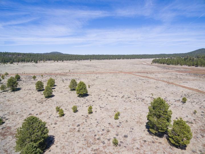 Forest Service  Rd 140, Williams, AZ | 5 Acres Or More. Photo 6 of 32