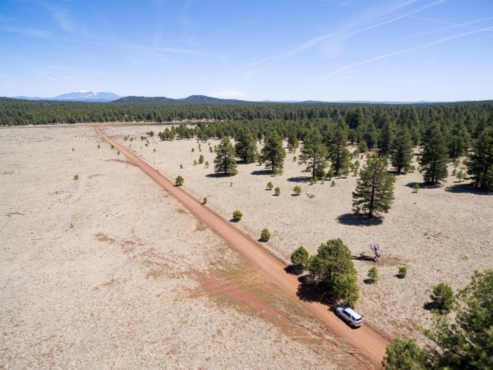 Forest Service  Rd 140, Williams, AZ | 5 Acres Or More. Photo 8 of 32