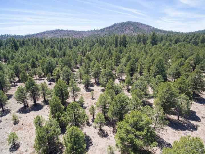 Forest Service  Rd 140, Williams, AZ | 5 Acres Or More. Photo 9 of 32