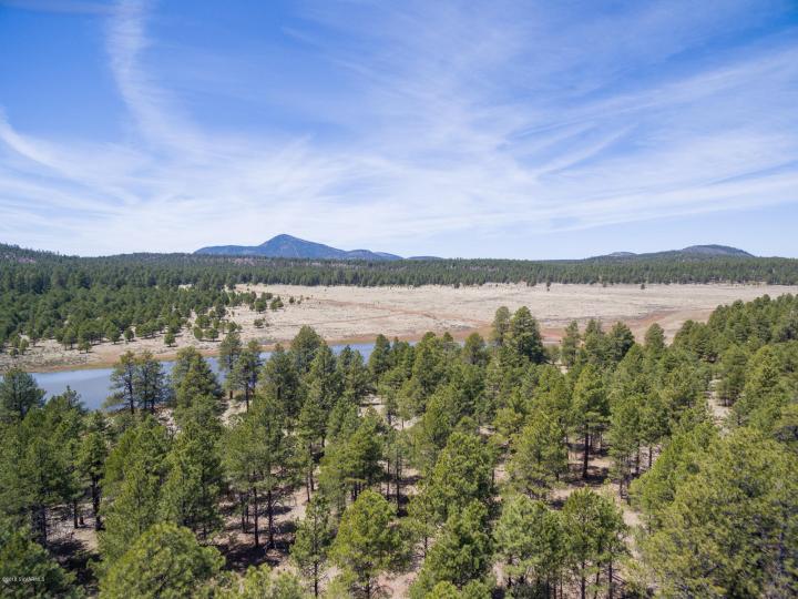 Forest Service  Rd 140, Williams, AZ | 5 Acres Or More. Photo 10 of 32