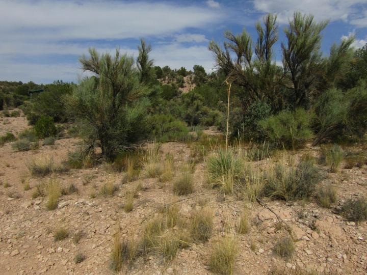 Desert Willow Rimrock AZ. Photo 31 of 49