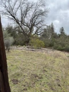 Dogtown Rd Coulterville CA. Photo 9 of 10