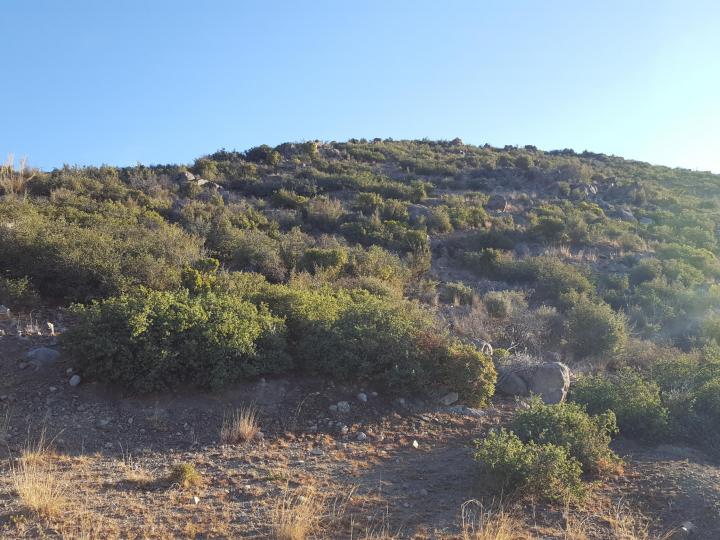 10 Hawk Mtn, Mayer, AZ | 5 Acres Or More | 5 Acres or More. Photo 13 of 17