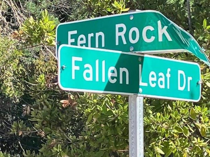 100 Fern Rock Way Boulder Creek CA. Photo 2 of 5