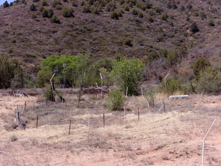 10001 W Cherry Creek Rd, Camp Verde, AZ | 5 Acres Or More. Photo 26 of 52