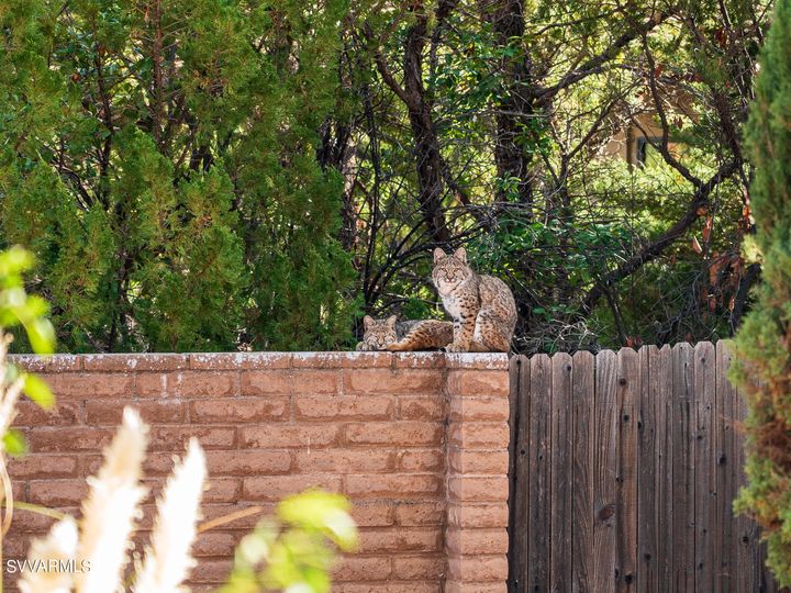 115 Red Fox Ln, Sedona, AZ | Valley Vista. Photo 20 of 69