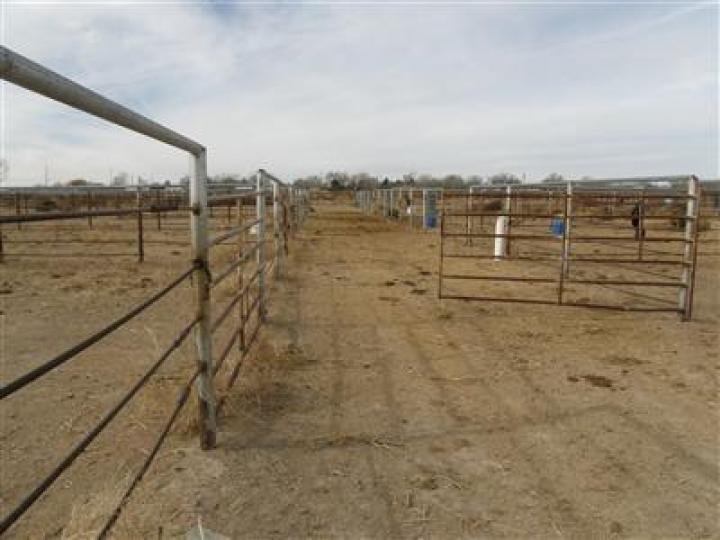 1204 E Perkinsville Rd, Chino Valley, AZ | 5 Acres Or More. Photo 18 of 22