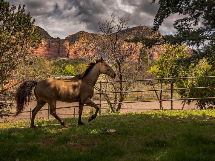 134 Horseback Ln, Sedona, AZ | Under 5 Acres. Photo 42 of 47