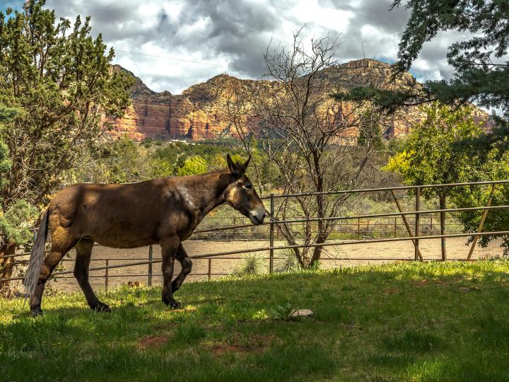 134 Horseback Ln, Sedona, AZ | Under 5 Acres. Photo 45 of 47