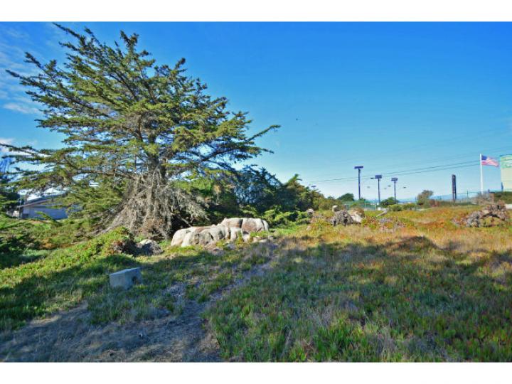 1355 Lighthouse Ave Pacific Grove CA. Photo 1 of 12