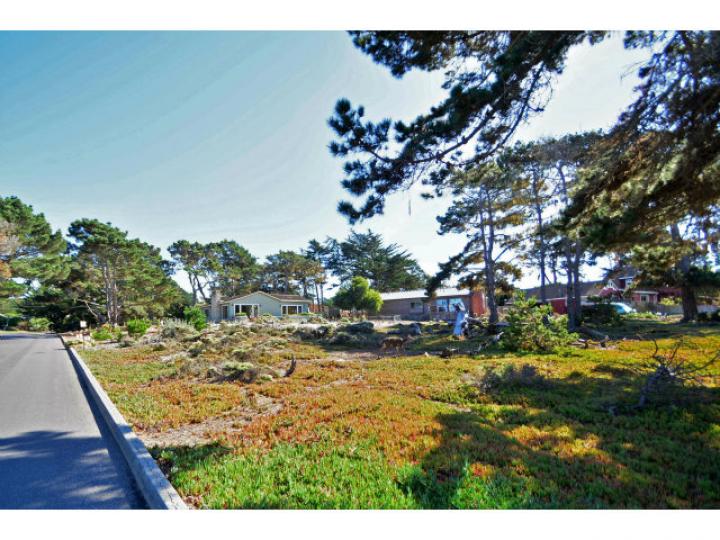 1355 Lighthouse Ave Pacific Grove CA. Photo 3 of 12
