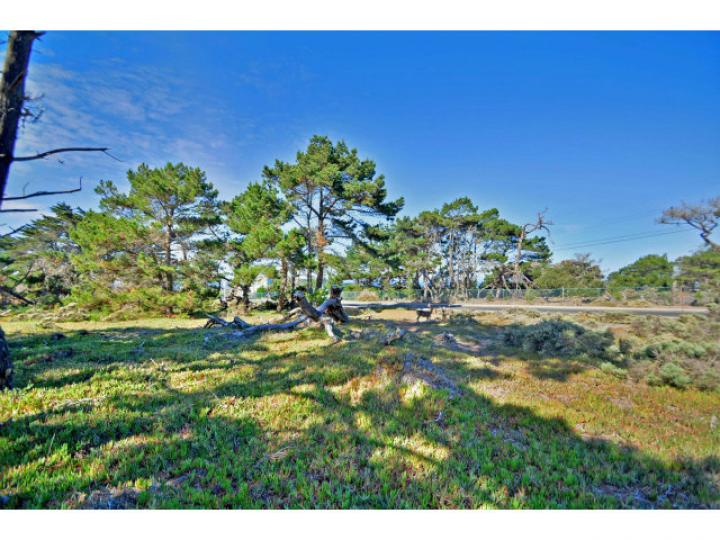 1355 Lighthouse Ave Pacific Grove CA. Photo 4 of 12