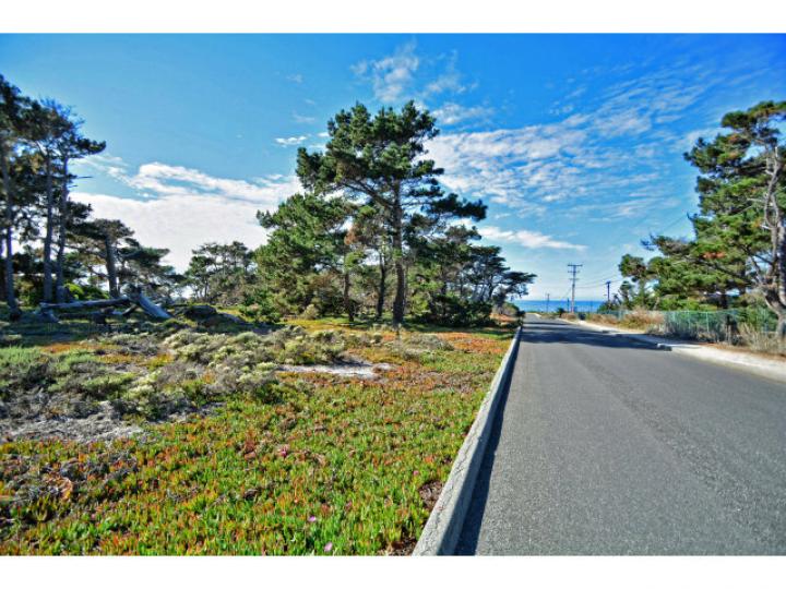 1355 Lighthouse Ave Pacific Grove CA. Photo 10 of 12