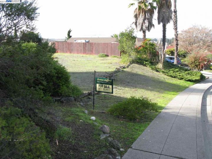 1447 Scenicview Dr San Leandro CA. Photo 6 of 6