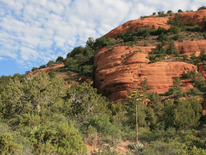 15 N Loy Butte Rd, Sedona, AZ | 5 Acres Or More. Photo 12 of 18