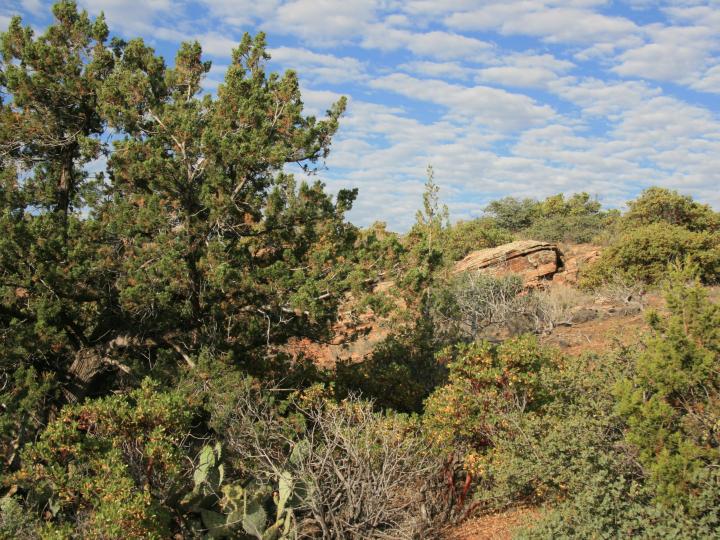 15 N Loy Butte Rd, Sedona, AZ | 5 Acres Or More. Photo 13 of 18
