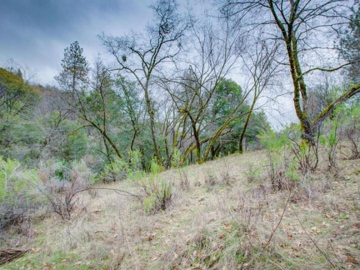 15913 Fay Rd Grass Valley CA. Photo 22 of 30
