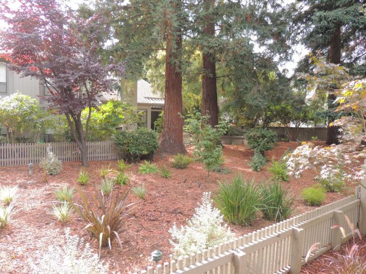 169 Sherland Ave, Mountain View, CA, 94043 Townhouse. Photo 33 of 40