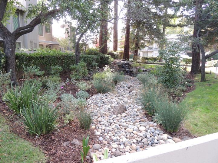 169 Sherland Ave, Mountain View, CA, 94043 Townhouse. Photo 40 of 40