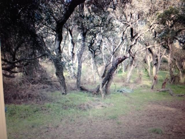 180 Walker Valley Rd Castroville CA. Photo 1 of 1