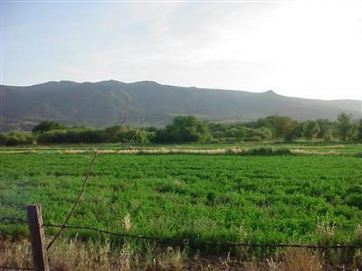 1808 E Country Ln, Camp Verde, AZ | Sierra Verde. Photo 18 of 20