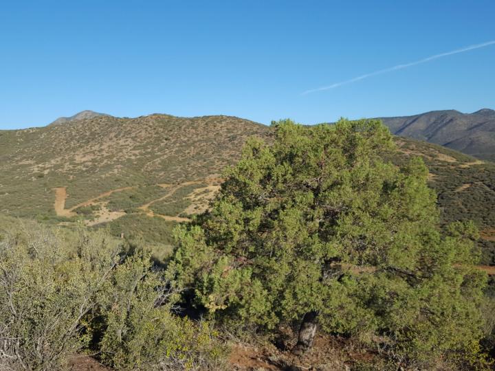 20 Freeport, Mayer, AZ | 5 Acres Or More | 5 Acres or More. Photo 12 of 58
