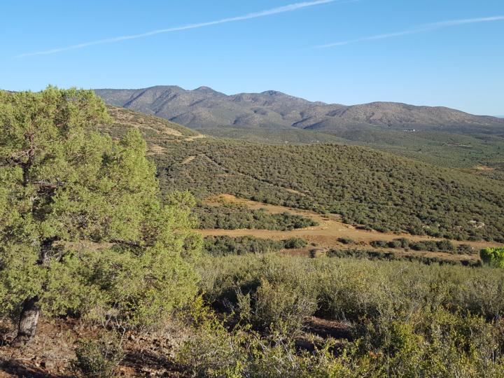 20 Freeport, Mayer, AZ | 5 Acres Or More | 5 Acres or More. Photo 14 of 58