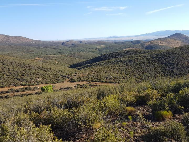 20 Freeport, Mayer, AZ | 5 Acres Or More | 5 Acres or More. Photo 17 of 58