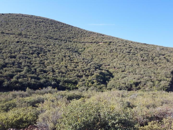 20 Freeport, Mayer, AZ | 5 Acres Or More | 5 Acres or More. Photo 41 of 58