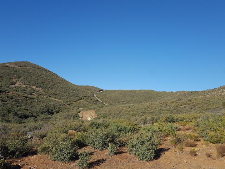 20 Freeport, Mayer, AZ | 5 Acres Or More | 5 Acres or More. Photo 45 of 58