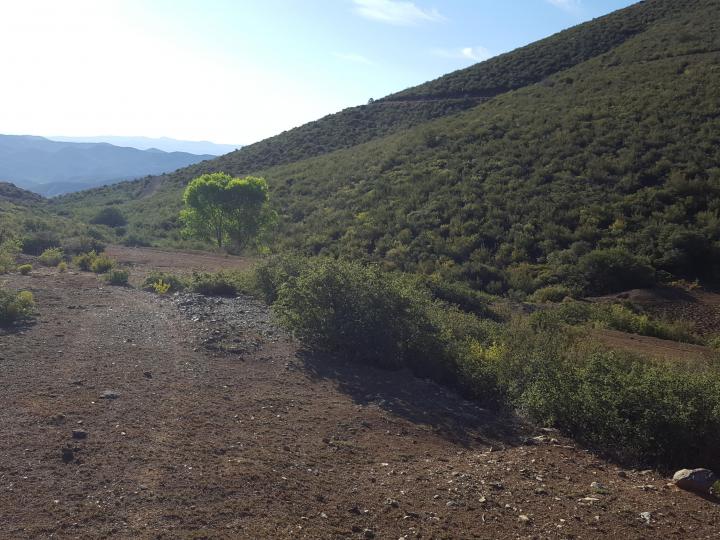 20 Freeport, Mayer, AZ | 5 Acres Or More | 5 Acres or More. Photo 57 of 58