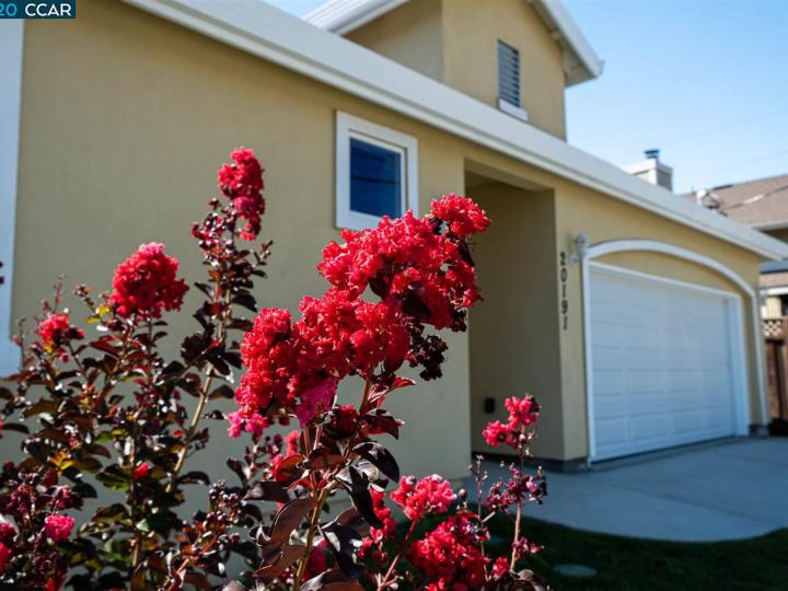 20191 Anita Ave, Castro Valley, CA | Downtown. Photo 35 of 35