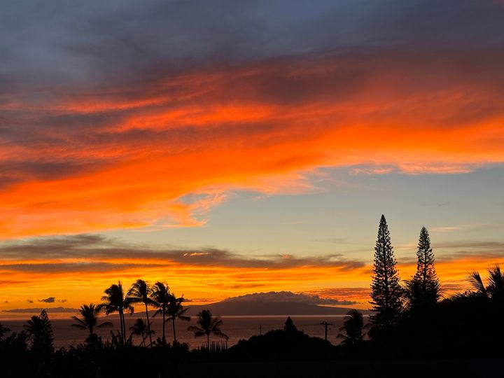 Maui Vista condo #3-406. Photo 34 of 34