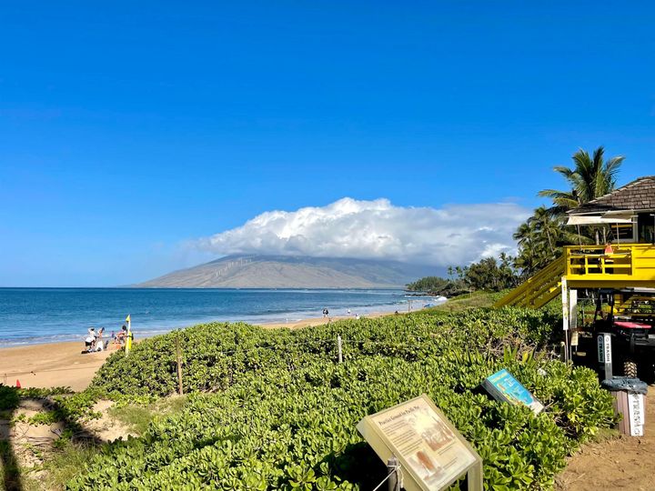 Maui Vista condo #1-206. Photo 30 of 33