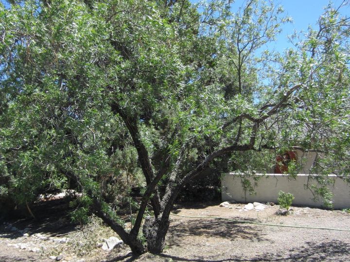 2343 E Arrowhead Ln, Cottonwood, AZ | Verde Village Unit 6. Photo 72 of 84