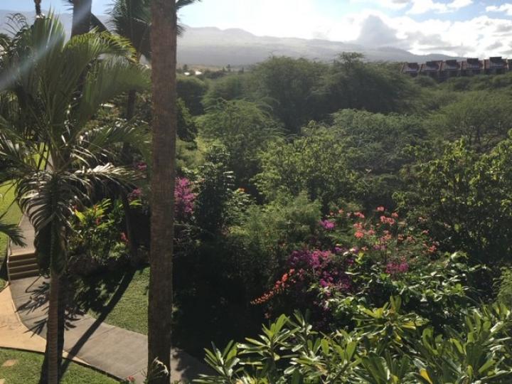 Maui Banyan condo #H311. Photo 8 of 11
