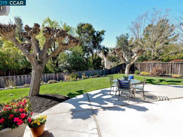 349 Conway Dr, Danville, CA | Greenbrook. Photo 23 of 34