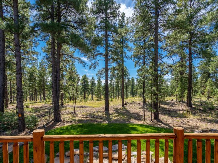 3727 N Erie St, Flagstaff, AZ | 5 Acres Or More. Photo 58 of 74